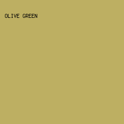 BDAF62 - Olive Green color image preview