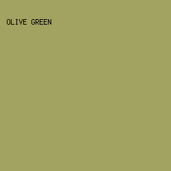 a2a261 - Olive Green color image preview