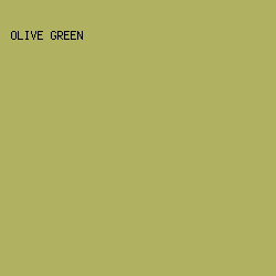 b1b261 - Olive Green color image preview