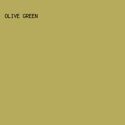 b6aa5c - Olive Green color image preview