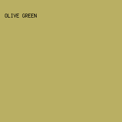 b9af63 - Olive Green color image preview