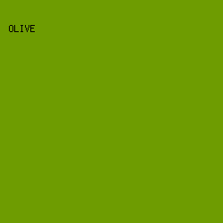 6E9C01 - Olive color image preview