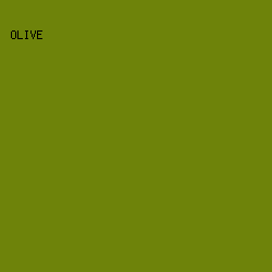 6e830a - Olive color image preview