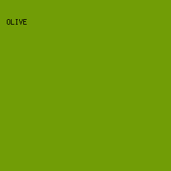719D06 - Olive color image preview