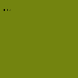 73840F - Olive color image preview
