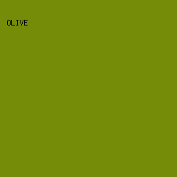 748c08 - Olive color image preview