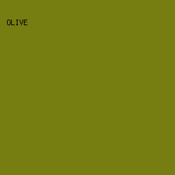 767d11 - Olive color image preview