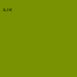 799201 - Olive color image preview