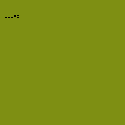 7E8F13 - Olive color image preview