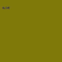 7e770a - Olive color image preview