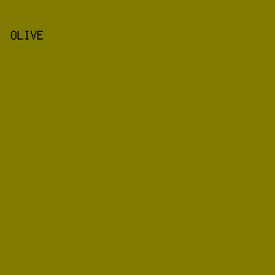 807a00 - Olive color image preview