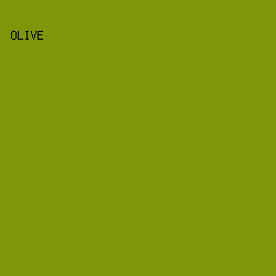 809507 - Olive color image preview
