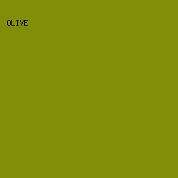 828E08 - Olive color image preview