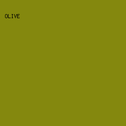 84880e - Olive color image preview
