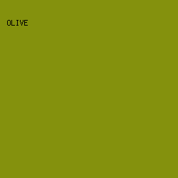 84910d - Olive color image preview