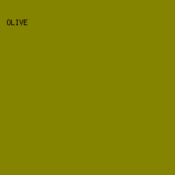 858400 - Olive color image preview