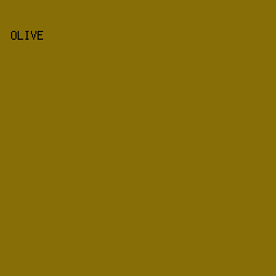 876E06 - Olive color image preview