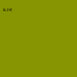 879502 - Olive color image preview