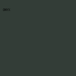 333d37 - Onyx color image preview