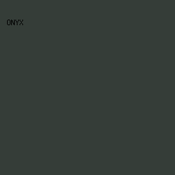 353D38 - Onyx color image preview