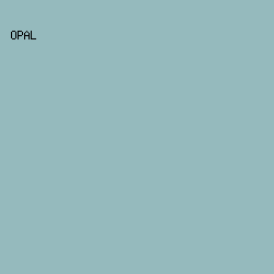 95BABD - Opal color image preview