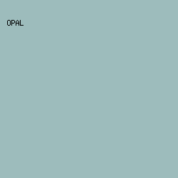 9DBCBC - Opal color image preview