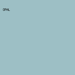 9DBFC5 - Opal color image preview