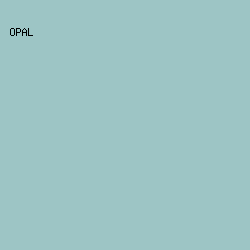 9DC5C5 - Opal color image preview