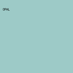 9DCAC7 - Opal color image preview
