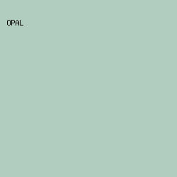 b1cdbf - Opal color image preview