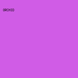 D05CE6 - Orchid color image preview
