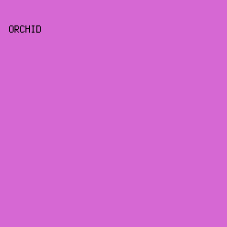 D668D3 - Orchid color image preview