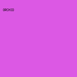 DC58E4 - Orchid color image preview