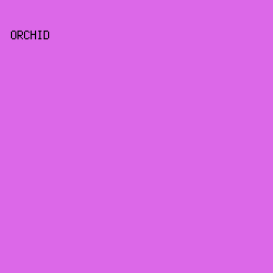 DC68E8 - Orchid color image preview