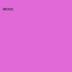 E069D7 - Orchid color image preview