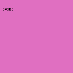 E06FC1 - Orchid color image preview