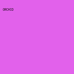 E261EB - Orchid color image preview