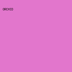 E276CC - Orchid color image preview