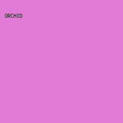 E27BD6 - Orchid color image preview