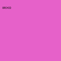 E661C9 - Orchid color image preview