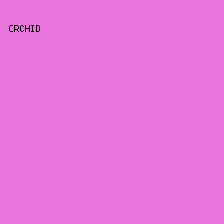 E875DC - Orchid color image preview