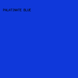0F38DA - Palatinate Blue color image preview