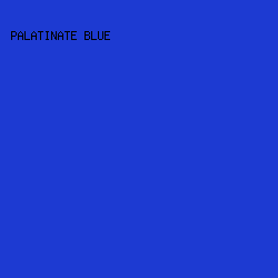 1D3AD2 - Palatinate Blue color image preview