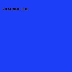 1c3ef6 - Palatinate Blue color image preview