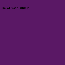 5A1865 - Palatinate Purple color image preview