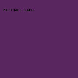 5A265F - Palatinate Purple color image preview