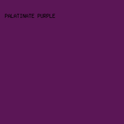 5B1656 - Palatinate Purple color image preview