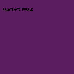 5C1D60 - Palatinate Purple color image preview