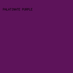 5D135A - Palatinate Purple color image preview
