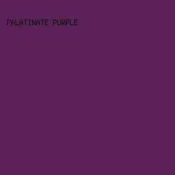 5D2159 - Palatinate Purple color image preview